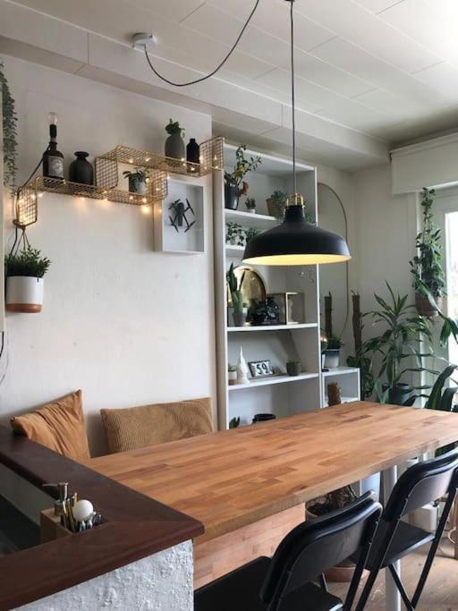 Studio Zeezucht บลังเคนเบอร์เก ภายนอก รูปภาพ