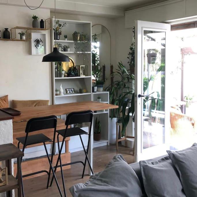 Studio Zeezucht บลังเคนเบอร์เก ภายนอก รูปภาพ